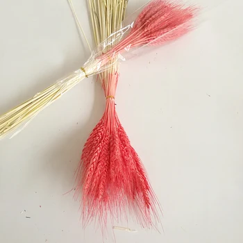 100pc natūralių džiovintų gėlių puokštės natūralus raudonos spalvos džiovintų ausų kviečių puokštės&kviečių ausies Kekės